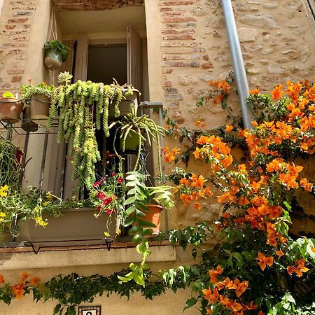 Maison Historique Rue Vermeille Argeles Sur Mer Bagian luar foto