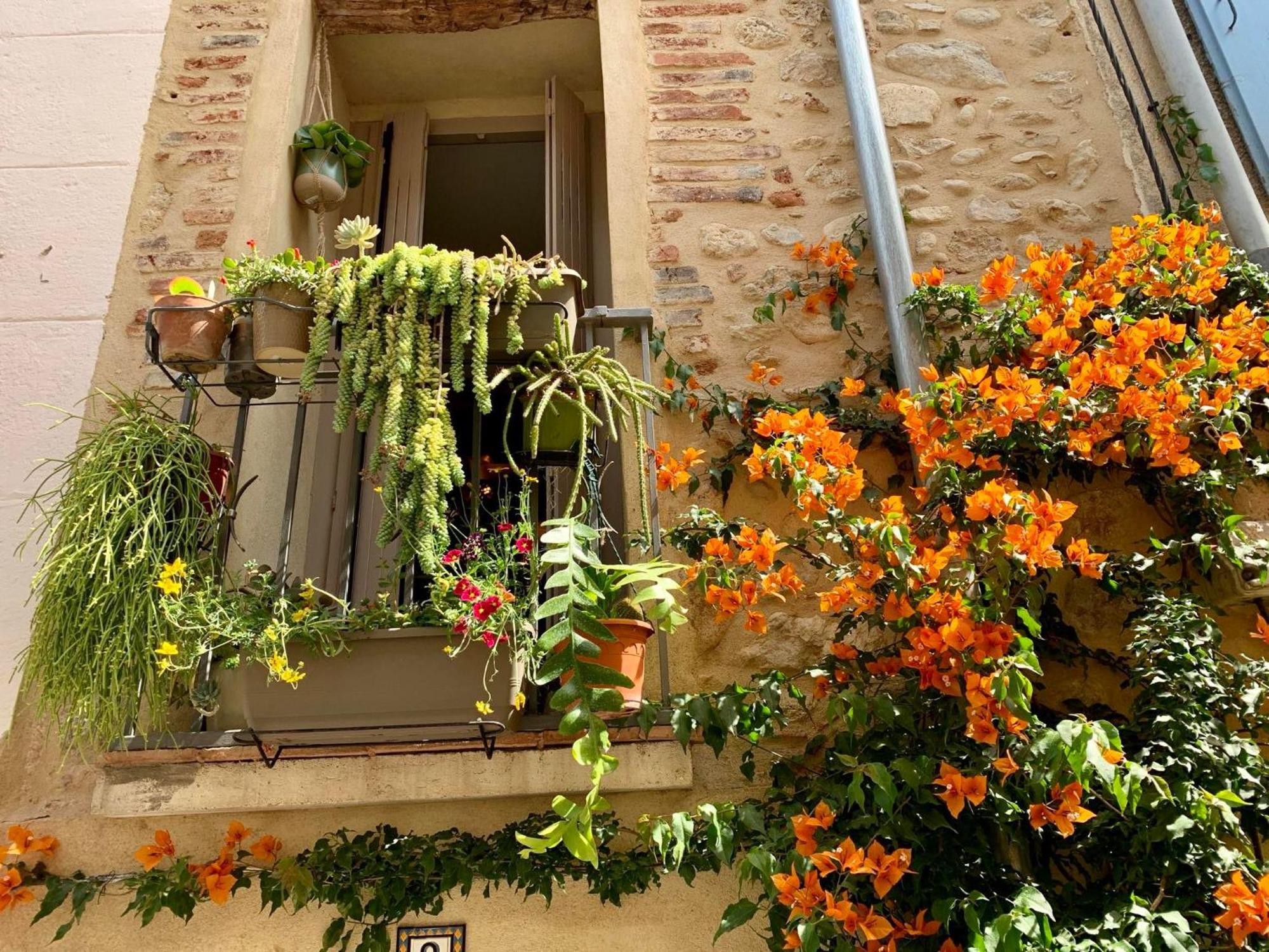 Maison Historique Rue Vermeille Argeles Sur Mer Bagian luar foto