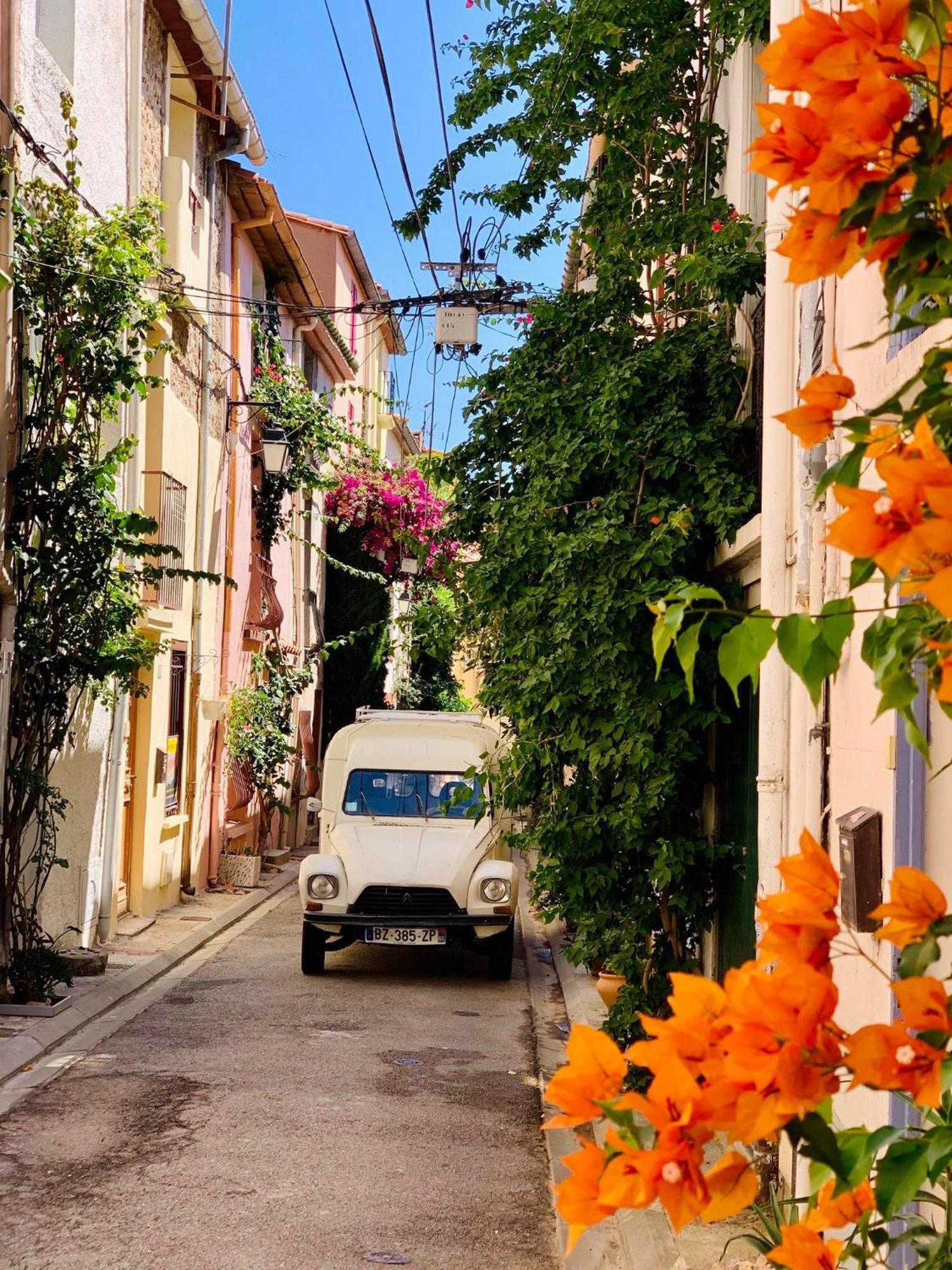 Maison Historique Rue Vermeille Argeles Sur Mer Bagian luar foto